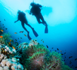 Lakshadweep Scuba Diving Tour Package